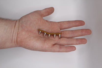 Spiky Fidget Toy
