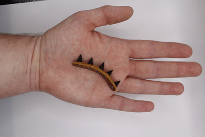 Spiky Fidget Toy